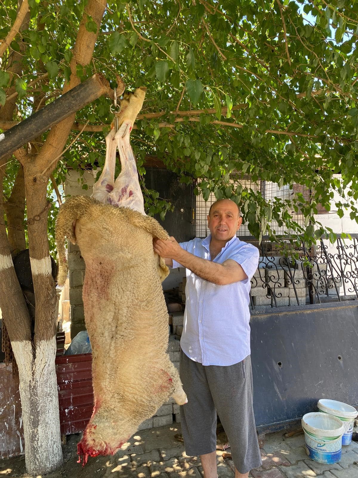 Başkan Akdeniz Kurbanını Kendi Kesti (4)