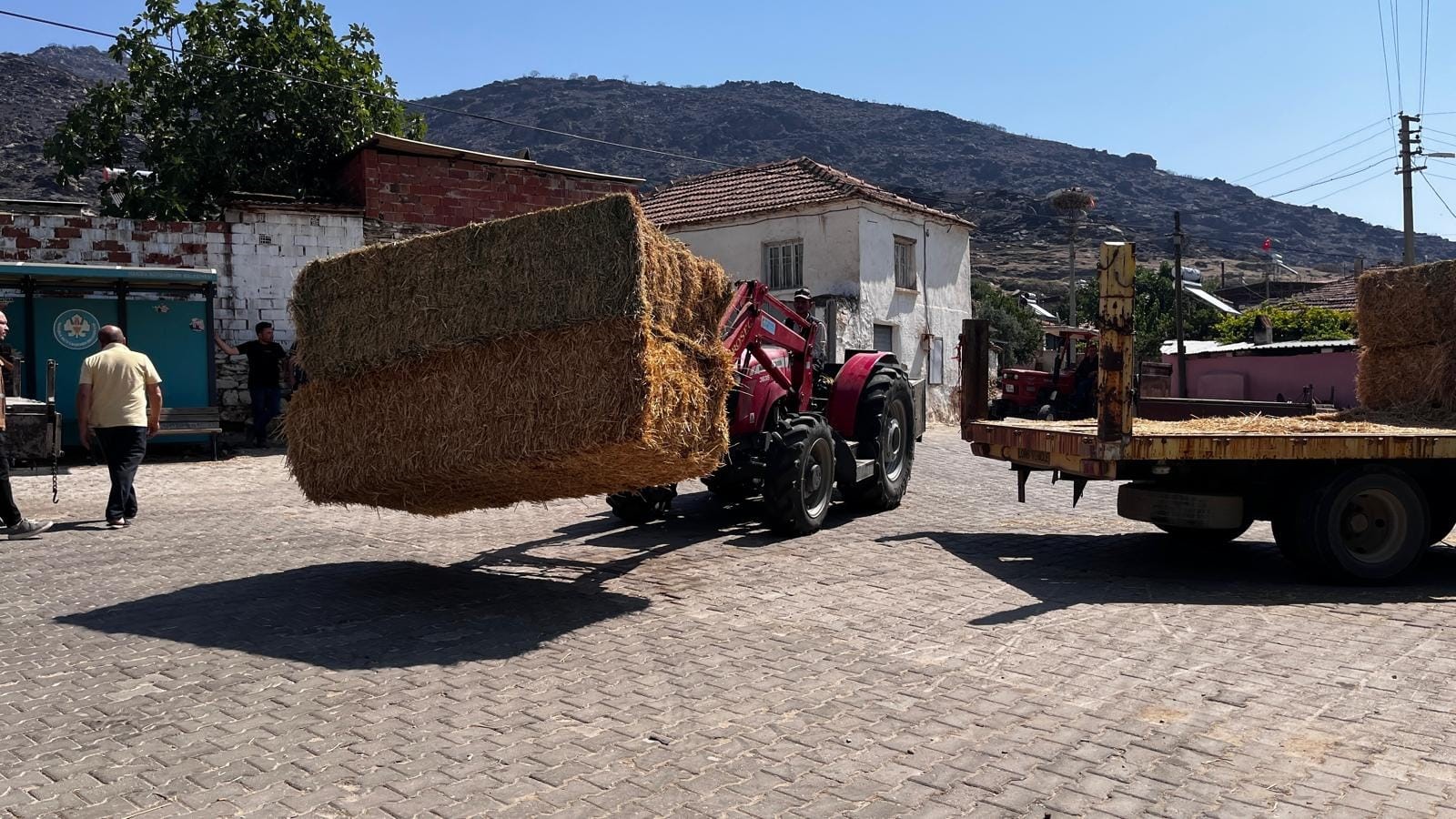 Manisa’da Yangın Felaketinin Yaraları Sarılıyor (19)