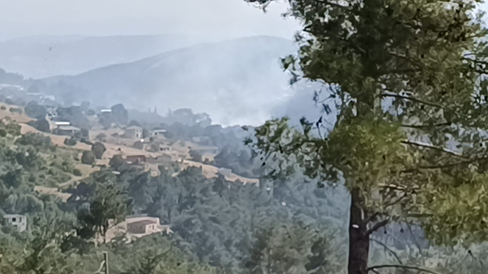 Manisa-İzmir yolunda çıkan yangın yerleşim yerlerini tehdit ediyor