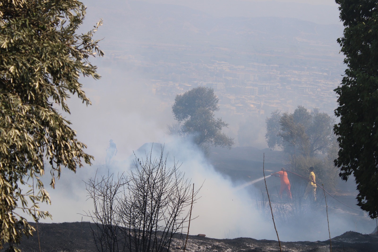 Aydın'da Çıkan Yangın Üniversite Kampüs Alanına Doğru Ilerliyor (6)