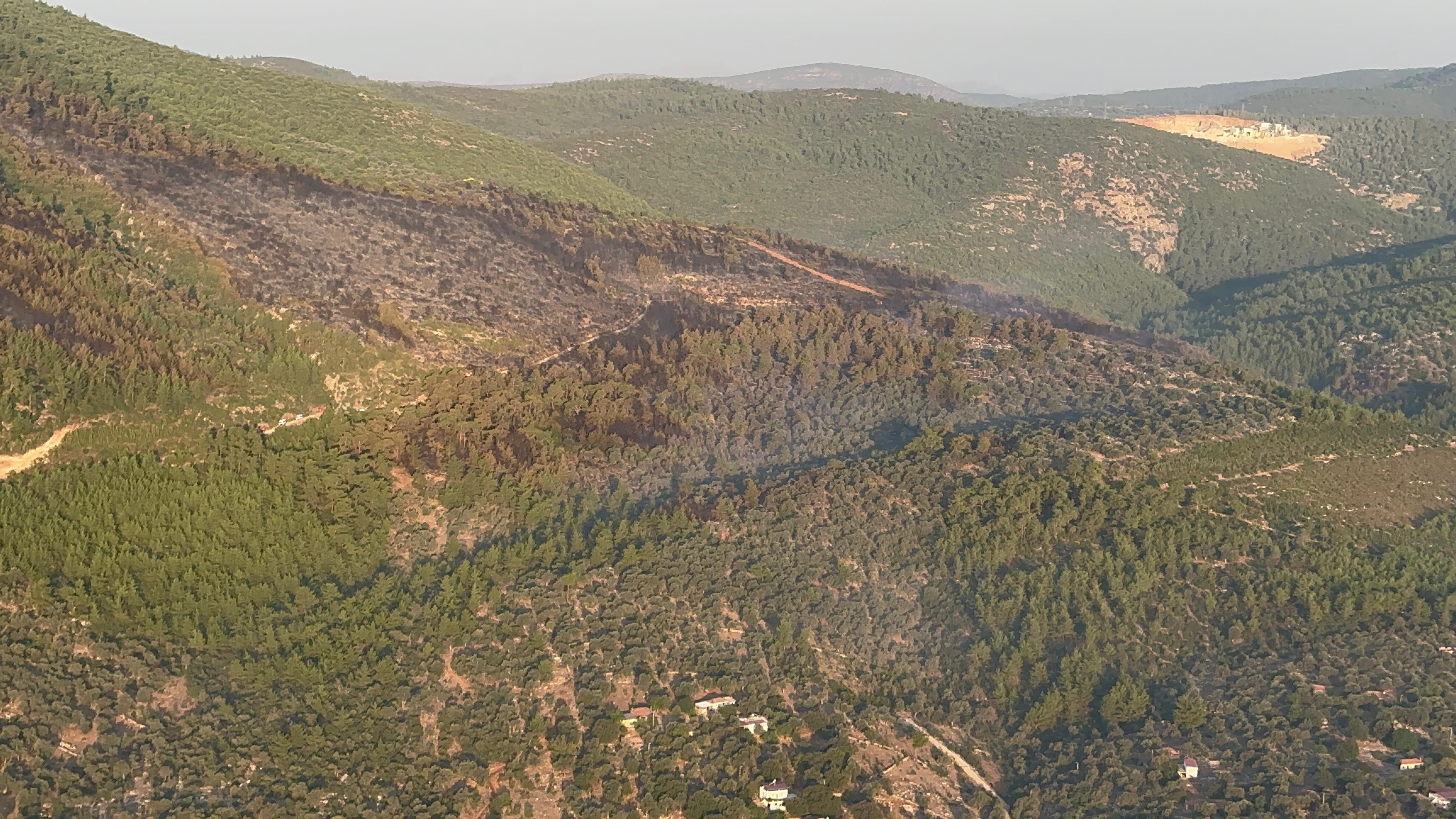 Bodrum'da Orman Yangın Kontrol Altına Alındı (3)