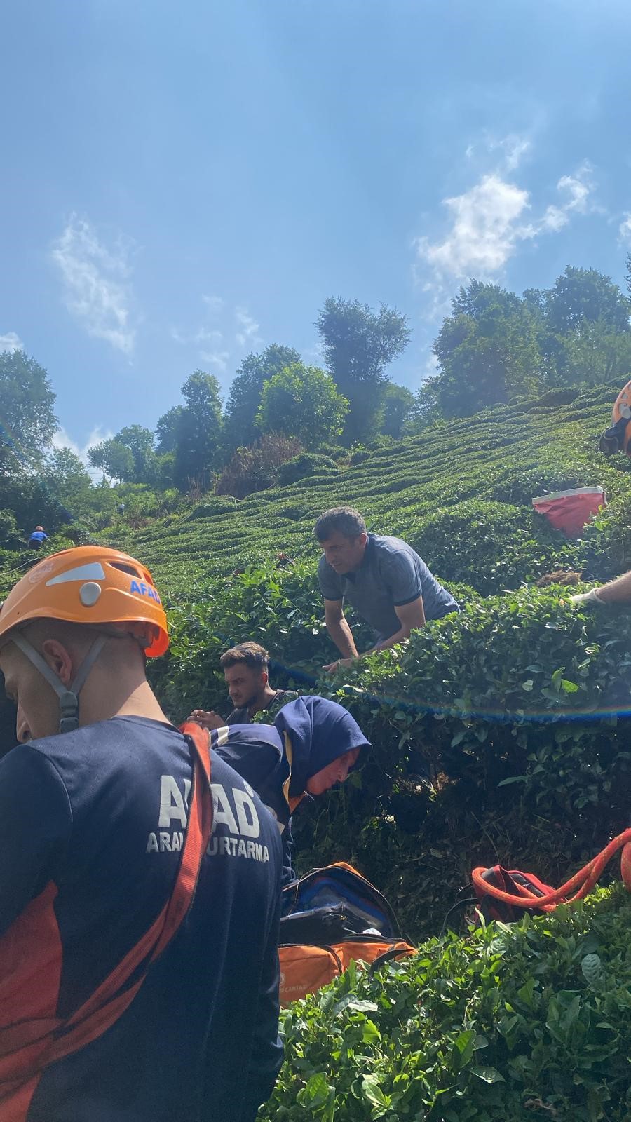 Çay Toplayan Vatandaş Elektrik Akımına Kapıldı (5)