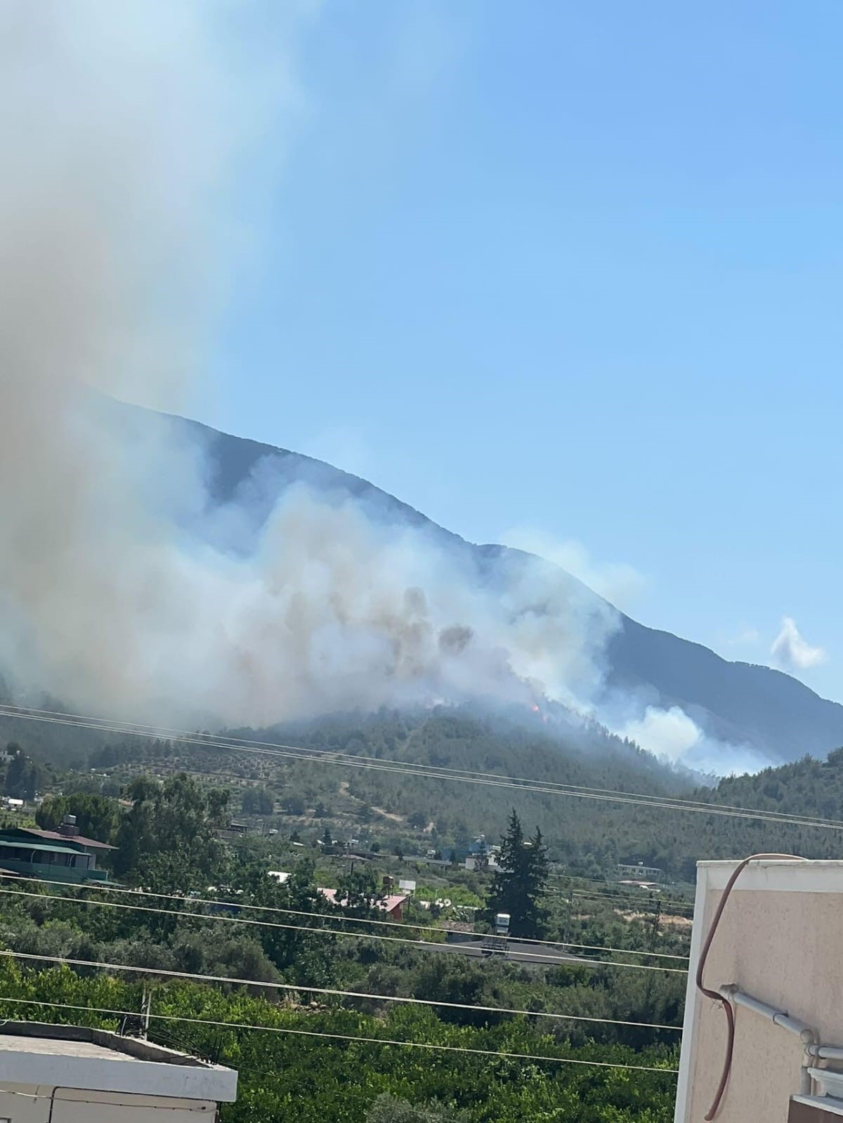 Hatay’da Orman Yangını (2)