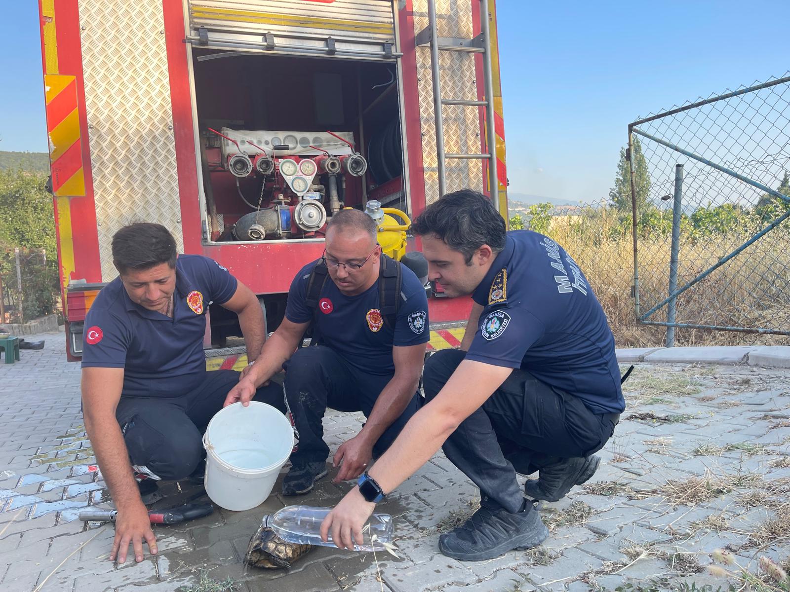 Manisa İtfaiyesi izmir orman yangınından yanmak uzere olan kaplumbağayı kurtardı