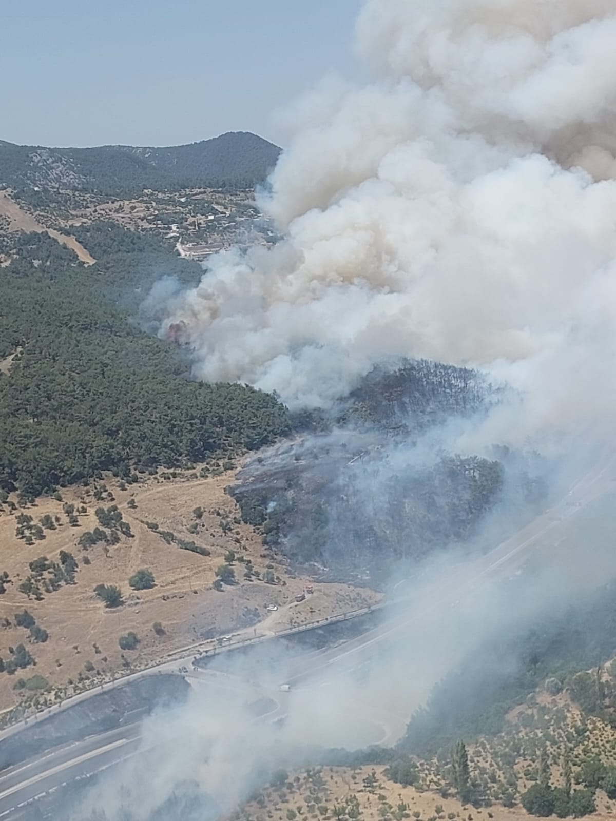 İzmir Yangını Yerleşim Yerlerini Tehdit Ediyor (3)