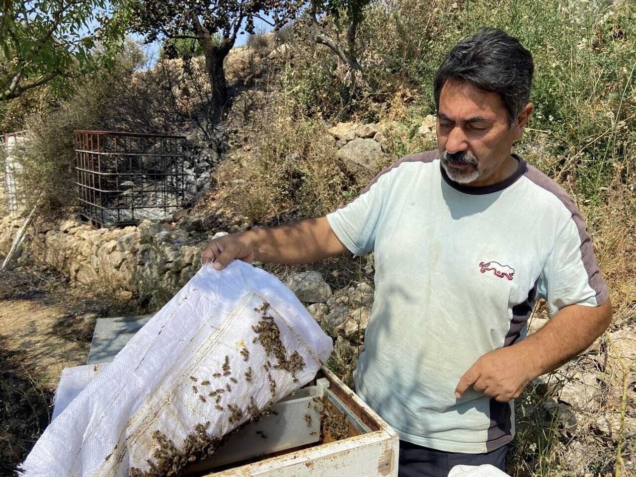 İzmir'deki Orman Yangının Boyutu Gün Ağarınca Ortaya Çıktı (5)