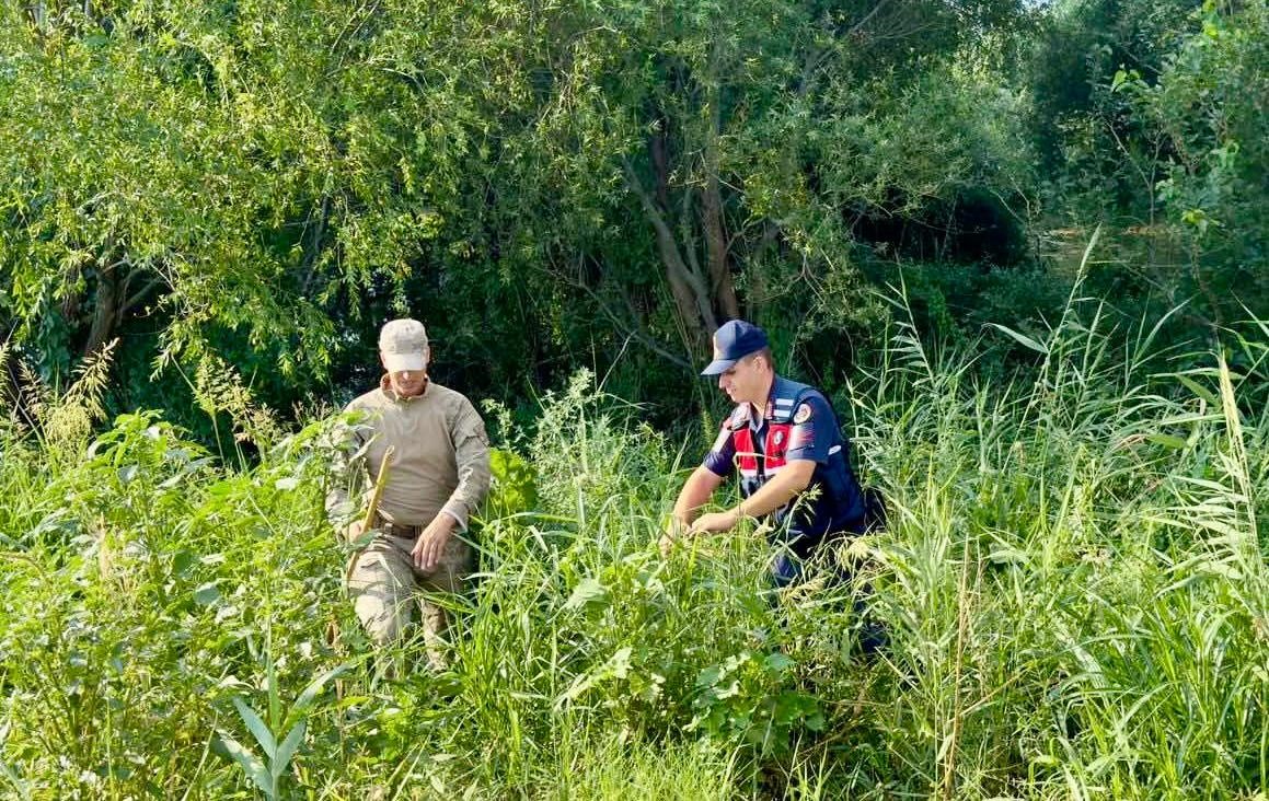 Jandarmanın Uyuşturucuyla Mücadelesi Hız Kesmeden Devam Ediyor (3)