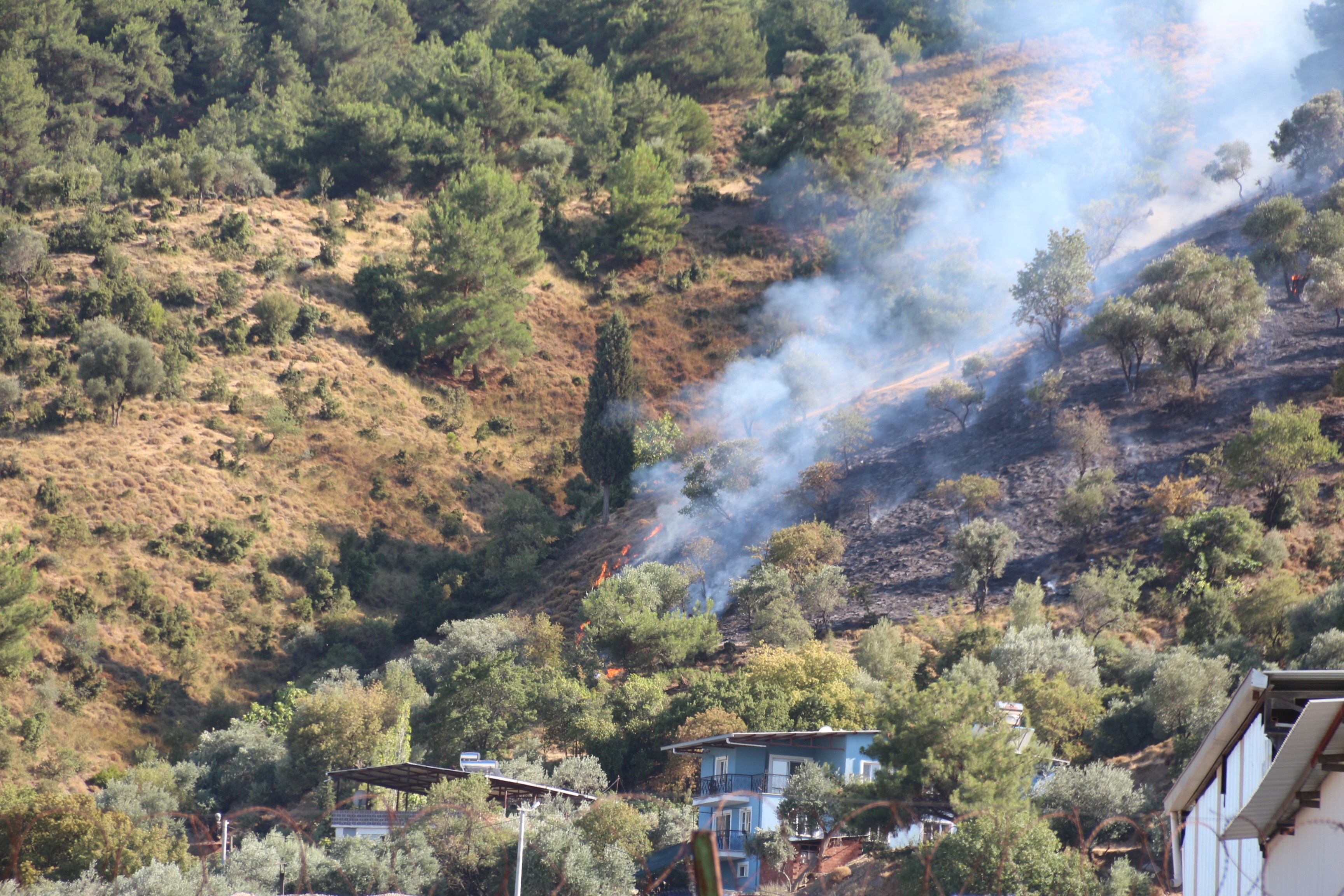  Manisa'nın Şehzadeler Ilçesinde, Makilik Alanda Çıkan Yangın Söndürüldü. (4)