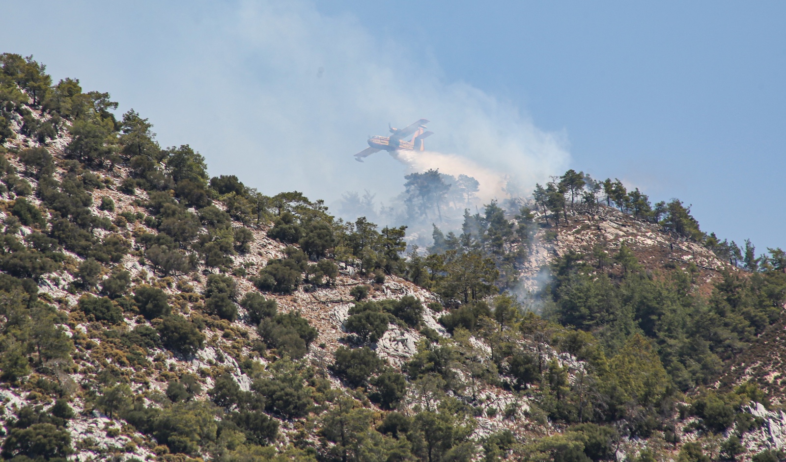 Muğla'nın Milas Ilçesinde Çıkan Ikinci Orman Yangını Söndürüldü (1)