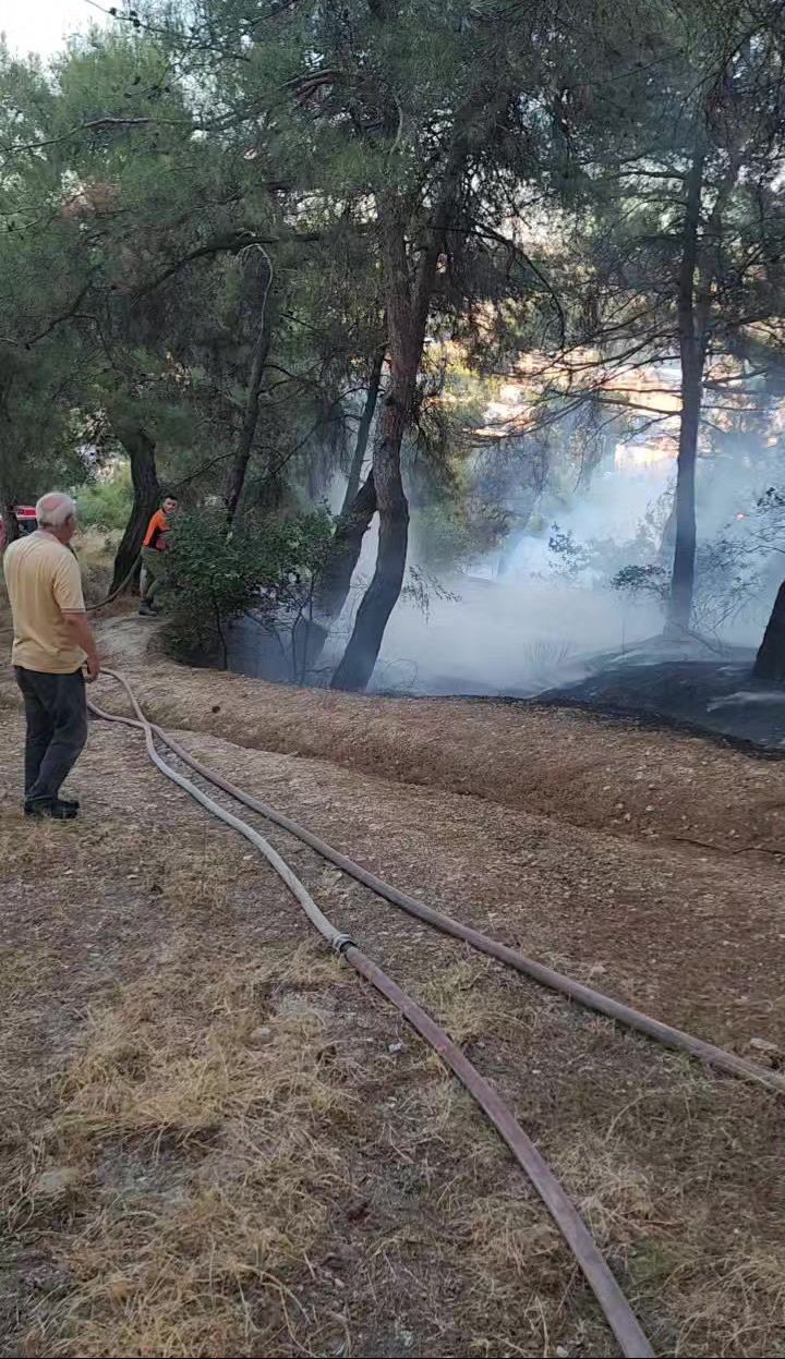 Piknik Alanında Çıkan Yangın Ormana Sıçramadan Söndürüldü (3)