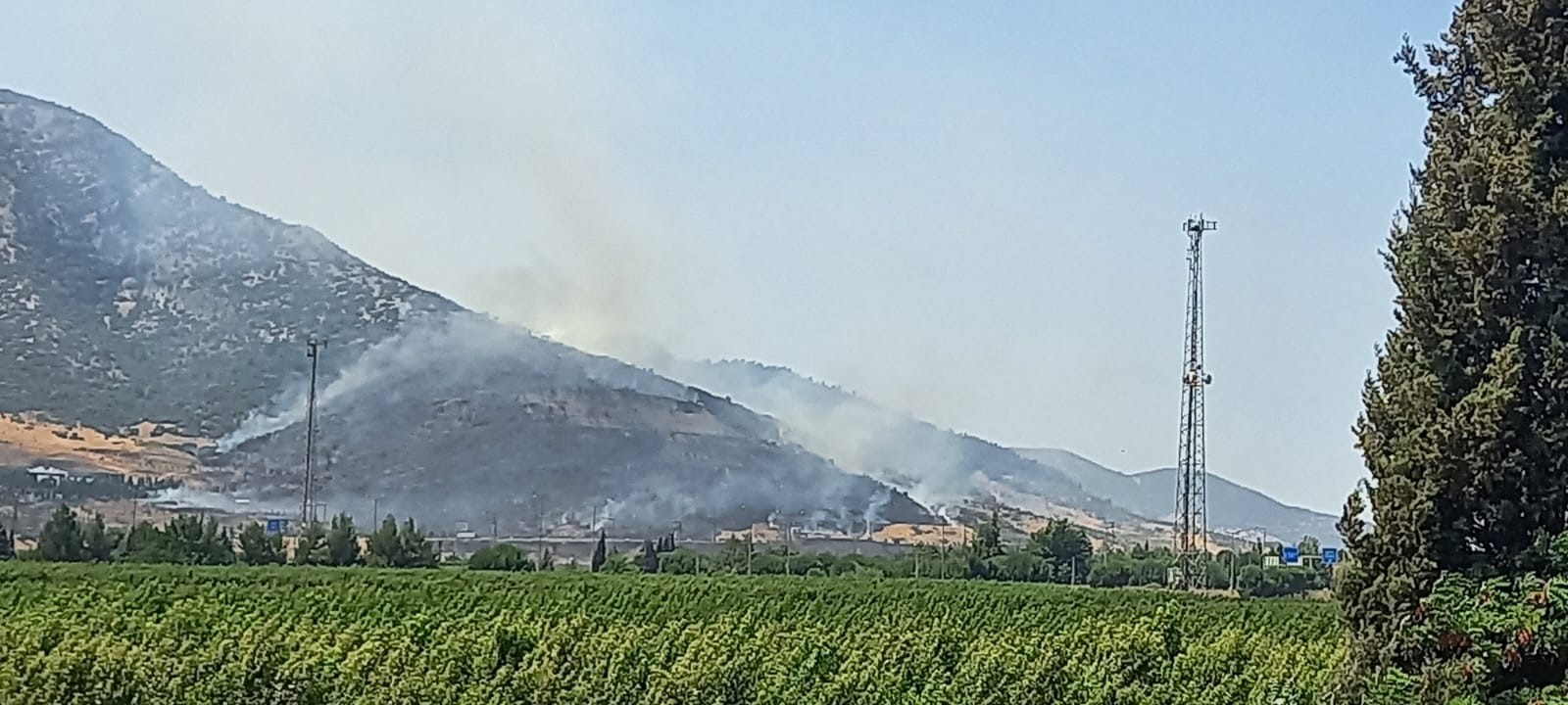 Selçuk’taki Orman Yangınına Havadan Ve Karadan Müdahale (4)