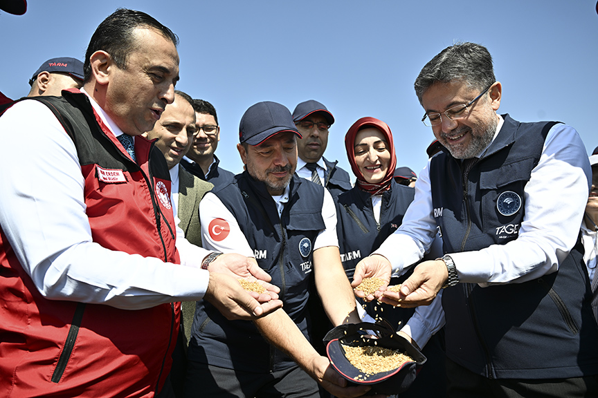 Tarım Ve Orman Bakanı Yumaklı, Yerli Ve Milli Buğday Çeşitlerinin Hasadına Katıldı (2)