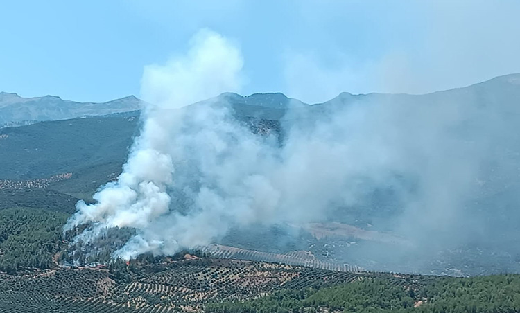 Hatay'da Çıkan Orman Yangınına Müdahale Ediliyor