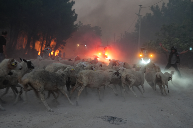 İzmir'in 3 Büyük Yangında Son Durumları (7)