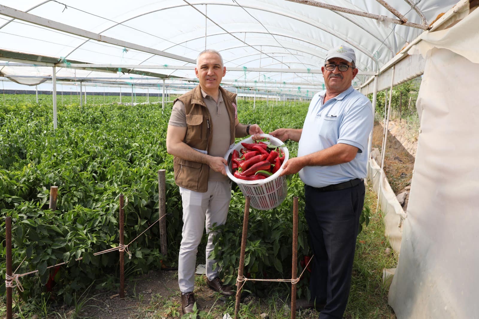 Öztürk, Biber Hasadı Yaptı4 (6)