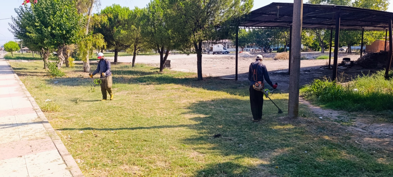 Şehzadeler Belediyesi'nden Yeşil Alanlara Titiz Bakım (2)