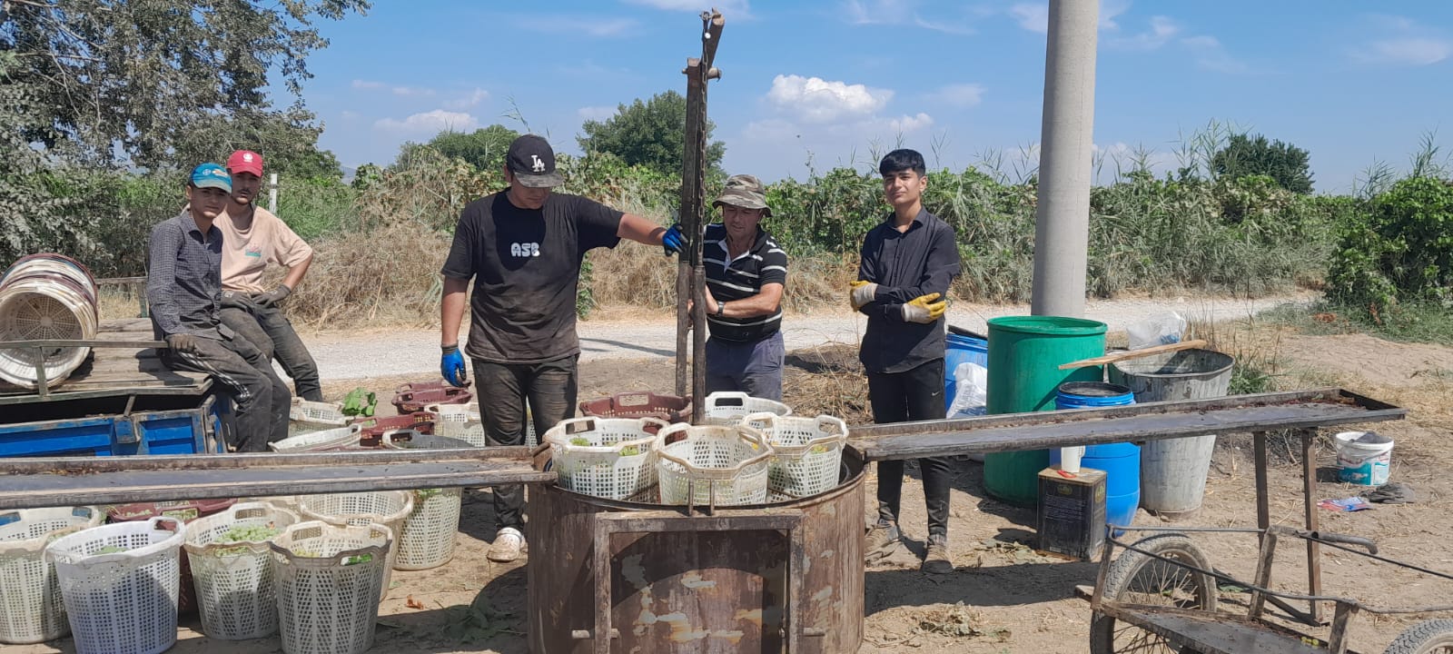 Üretici, İran Üzümünden Tedirgin  (2)