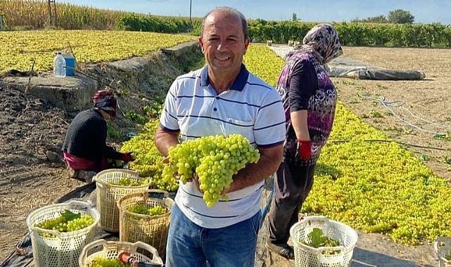 Üretici, İran Üzümünden Tedirgin  (4)