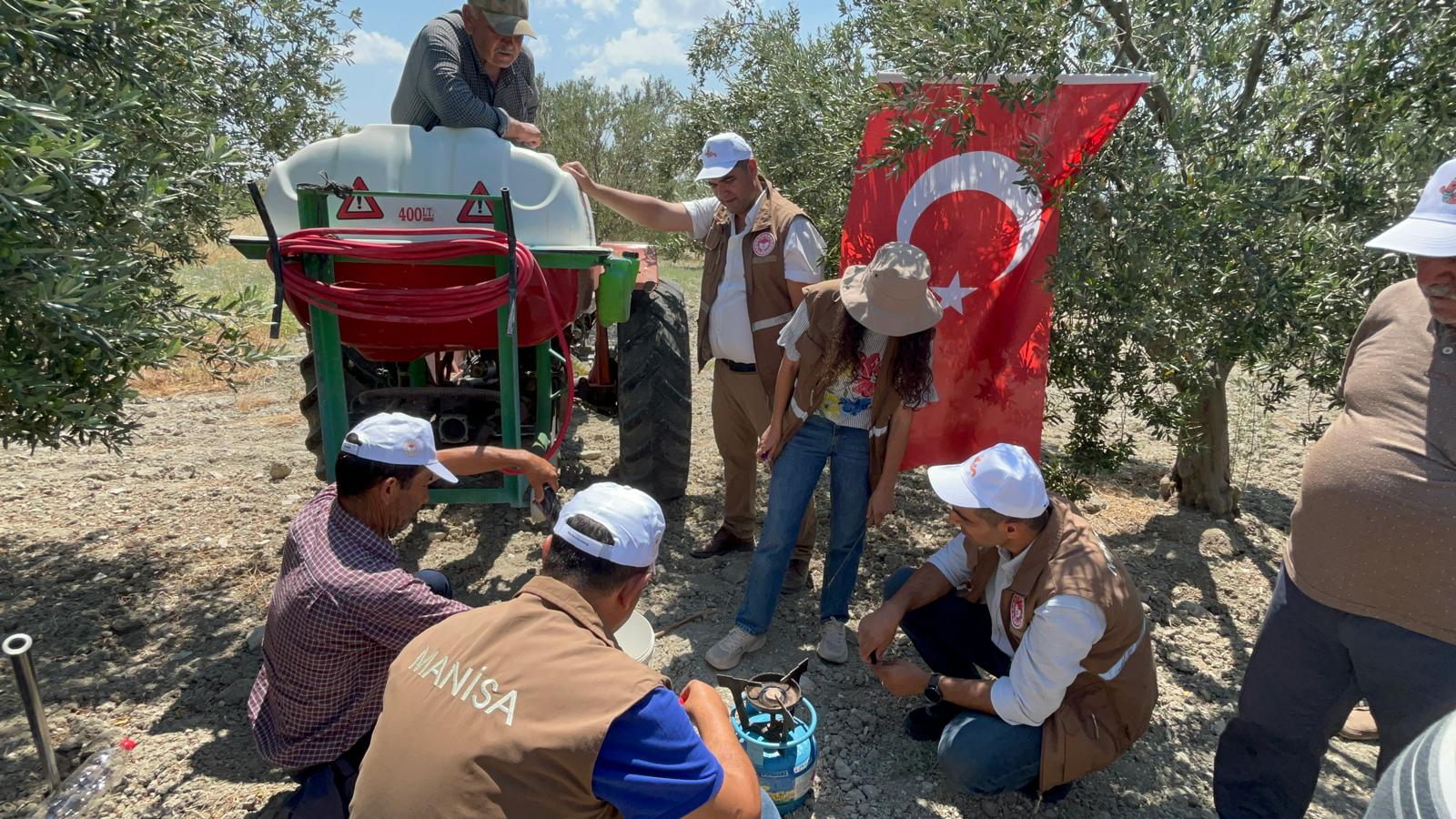 Zeytin Sineği’ne Karşı Biyoteknik Mücadele Başlatıldı (1)