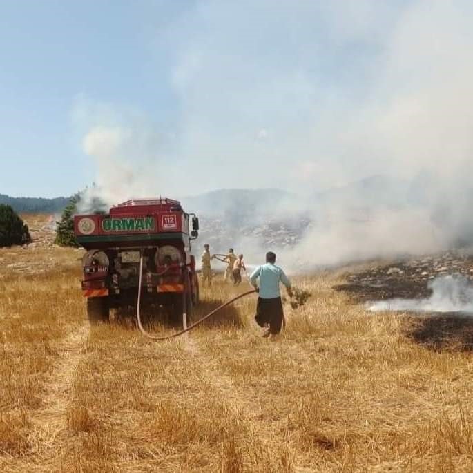 Anız Yangını Ormana Sıçradı (2)