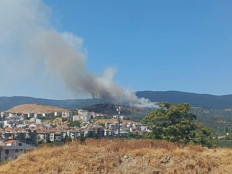 Balıkesir’de Orman Yangını (1)