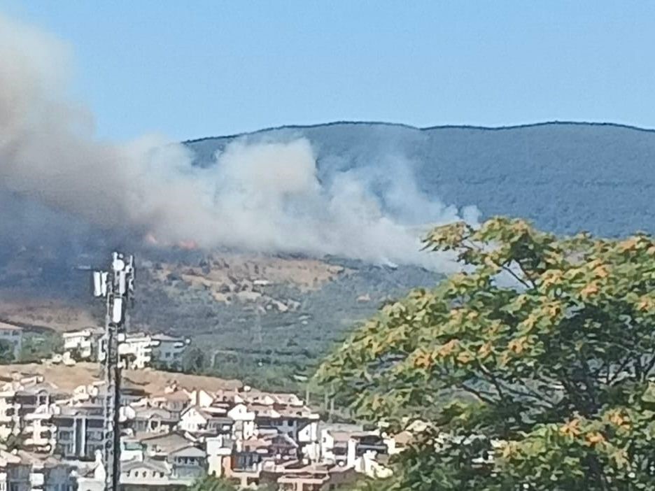 Balıkesir’de Orman Yangını (3)