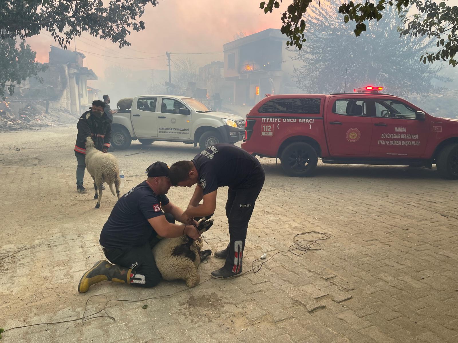 Büyükşehir Ekipleri Gördes'teki Yangınla Mücadele Ediyor (5)