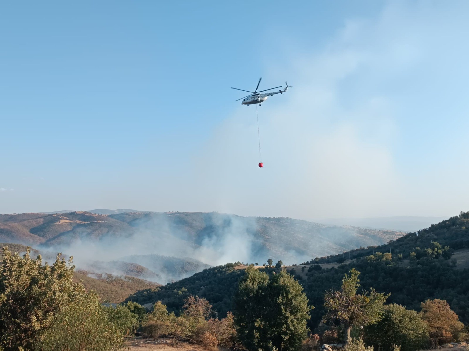 Eşme'de Iki Farklı Noktada Yangın Çıktı (2)