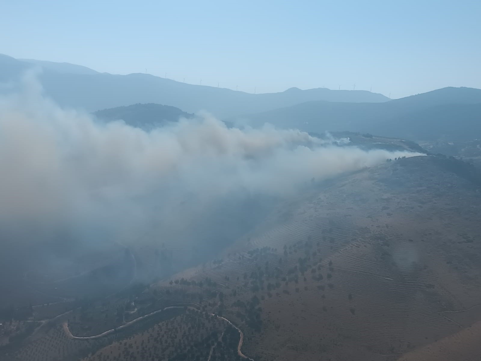 Hatay’da Orman Yangını (4)