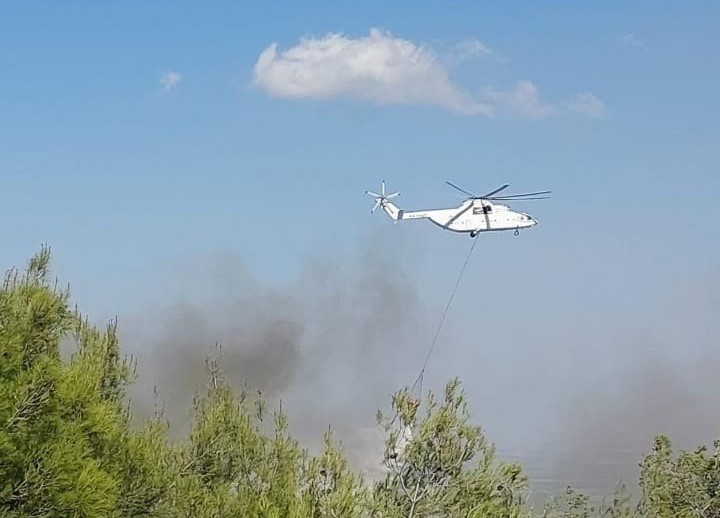 Hatay’da Orman Yangını (7)