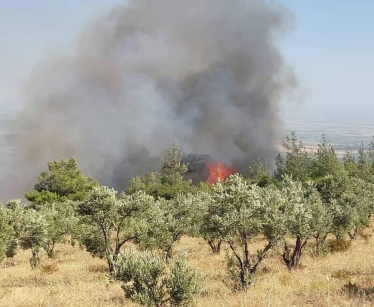 Hatay’da Orman Yangını (9)