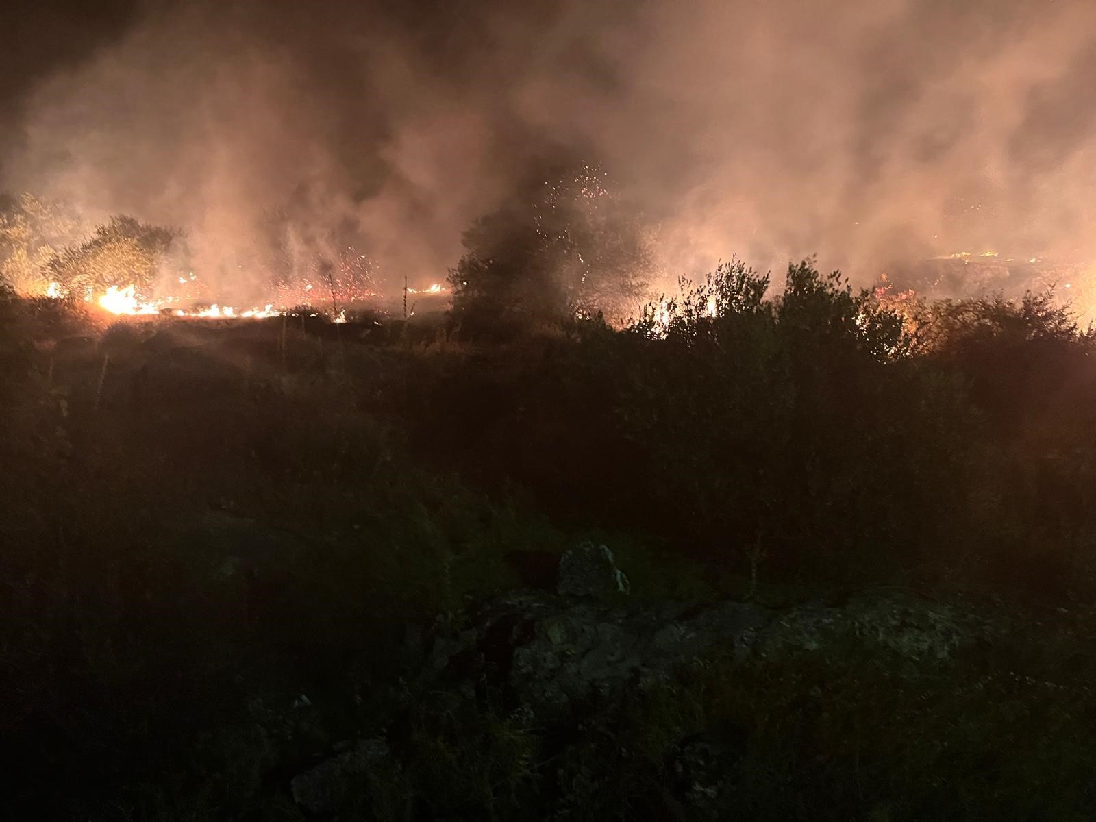 Manisa’da Ağaçlık Alanda Yangın (4)