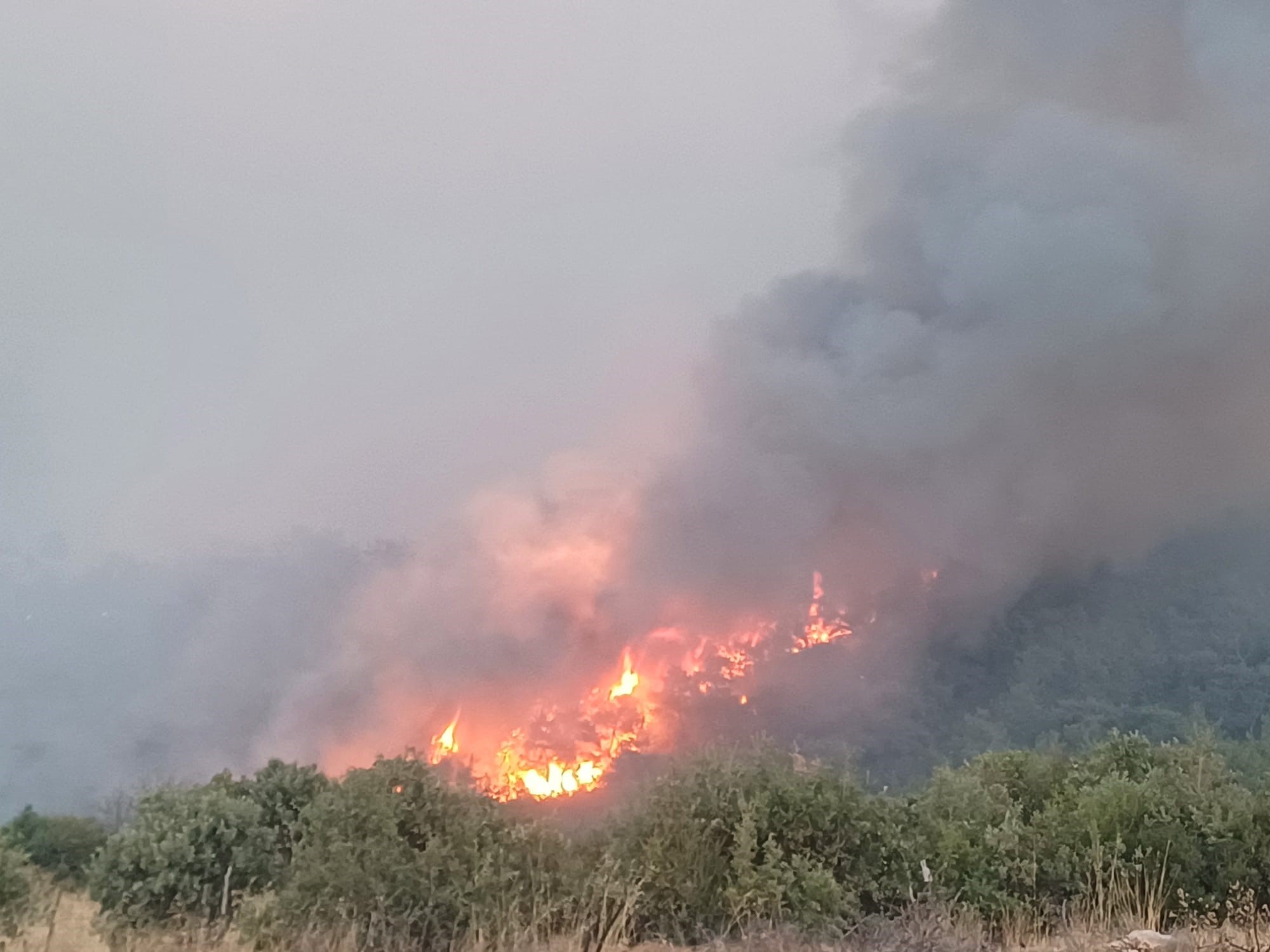 Manisa'da Alevlerle 80 Saat Orman Yangınıyla Zorlu Mücadele (3)