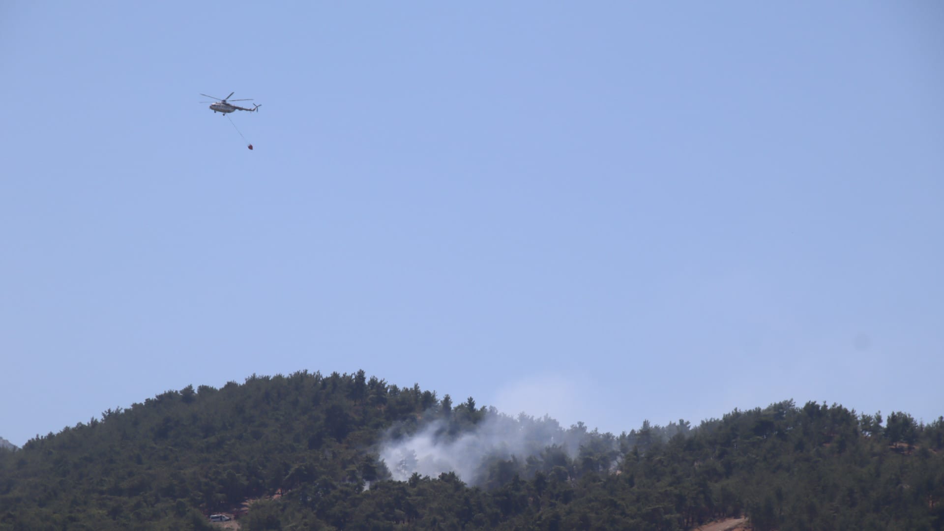 Manisa'da Orman Yangını! (3)