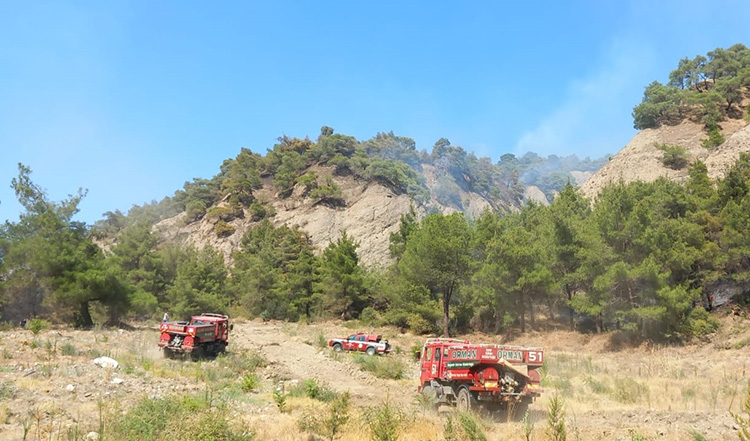 Manisa'nın Salihli Ilçesindeki Orman Yangınına Müdahale Sürüyor