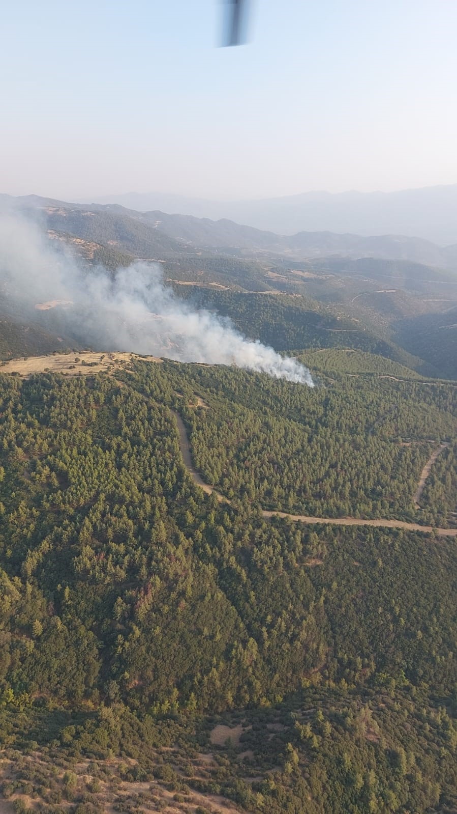 Nazilli'deki Orman Yangınında 3 Hektar Alan Zarar Gördü (2)