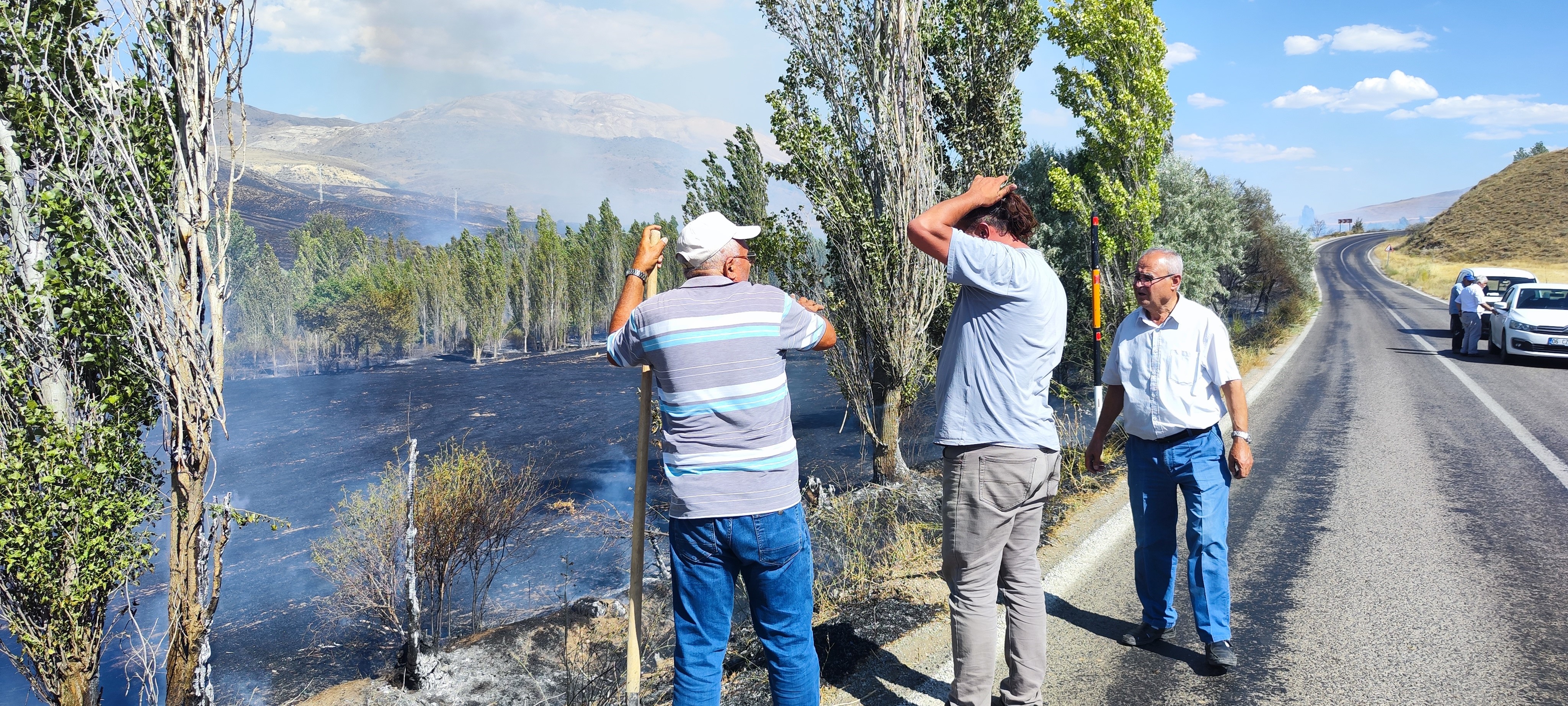 Otluk Alanda Çıkan Yangın Ağaçlara Sıçradı (1)