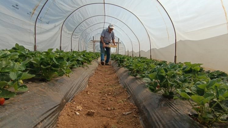 Hobi Olarak Başladı, Tonlarca Üretiyor! Kendi Kafama Göre Yaptım, Iyi Ki De Yapmışım (1)