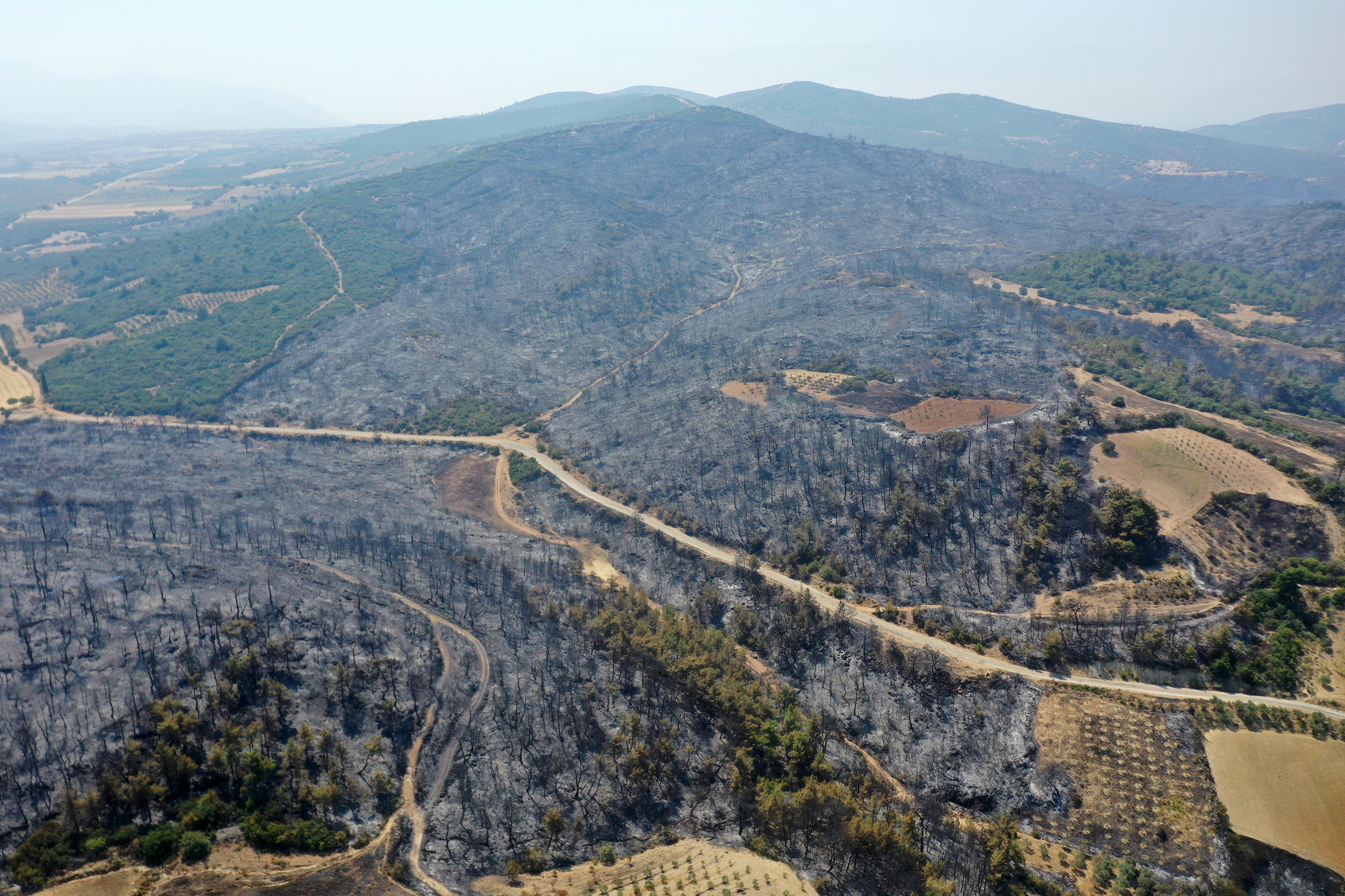 Yangınlarla Boğuşan Ege'de Yeşil Alanlar Yerini Griye Bıraktı (3)