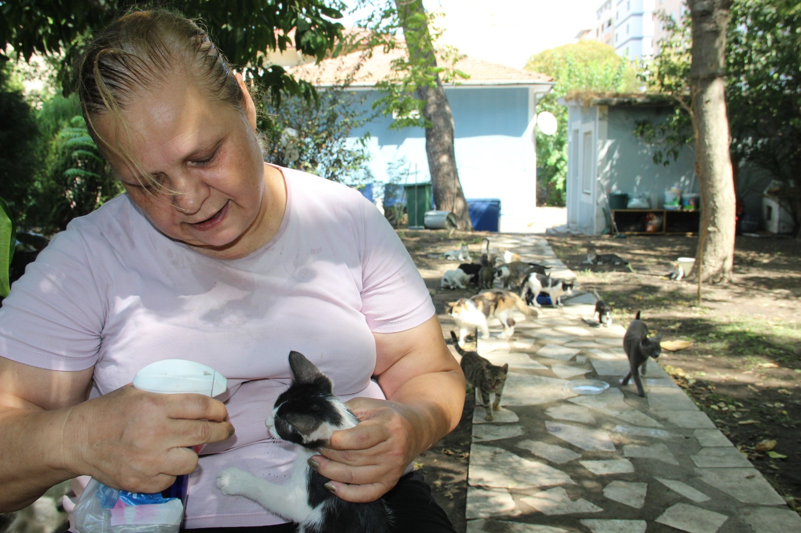 Bir Sesine Onlarca Kedi Koşuyor (3)