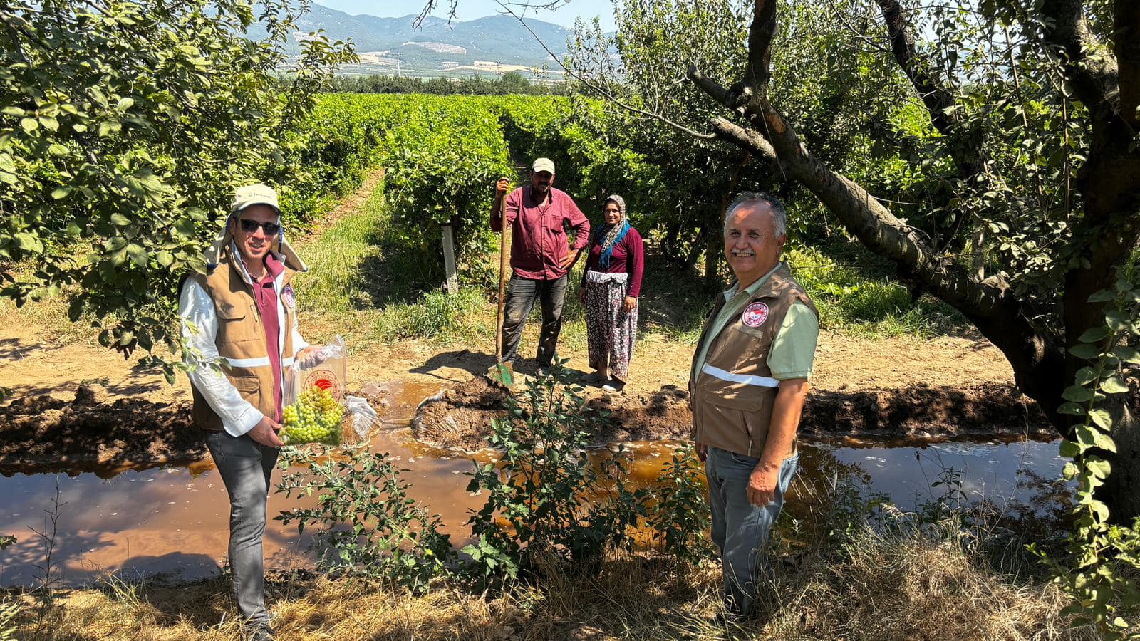 Manisa Tarım Müdürlüğü’nden Pestisit Denetimi (2)