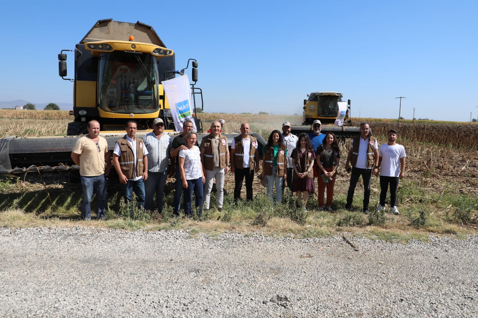 Manisa’da Ayçiçeği Hasadı Yapılıyor (4)