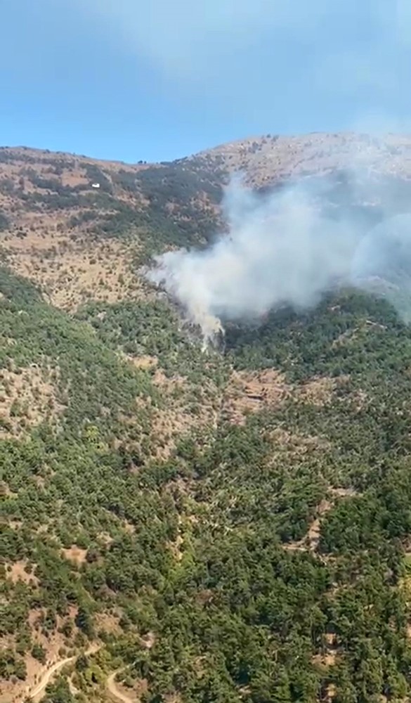 İzmir'de Orman Yangını (3)