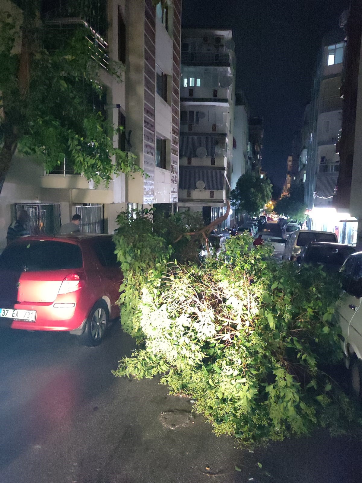 Şehzadeler Belediyesi Ekipleri Devrilen Ağaçları Kaldırdı (2)