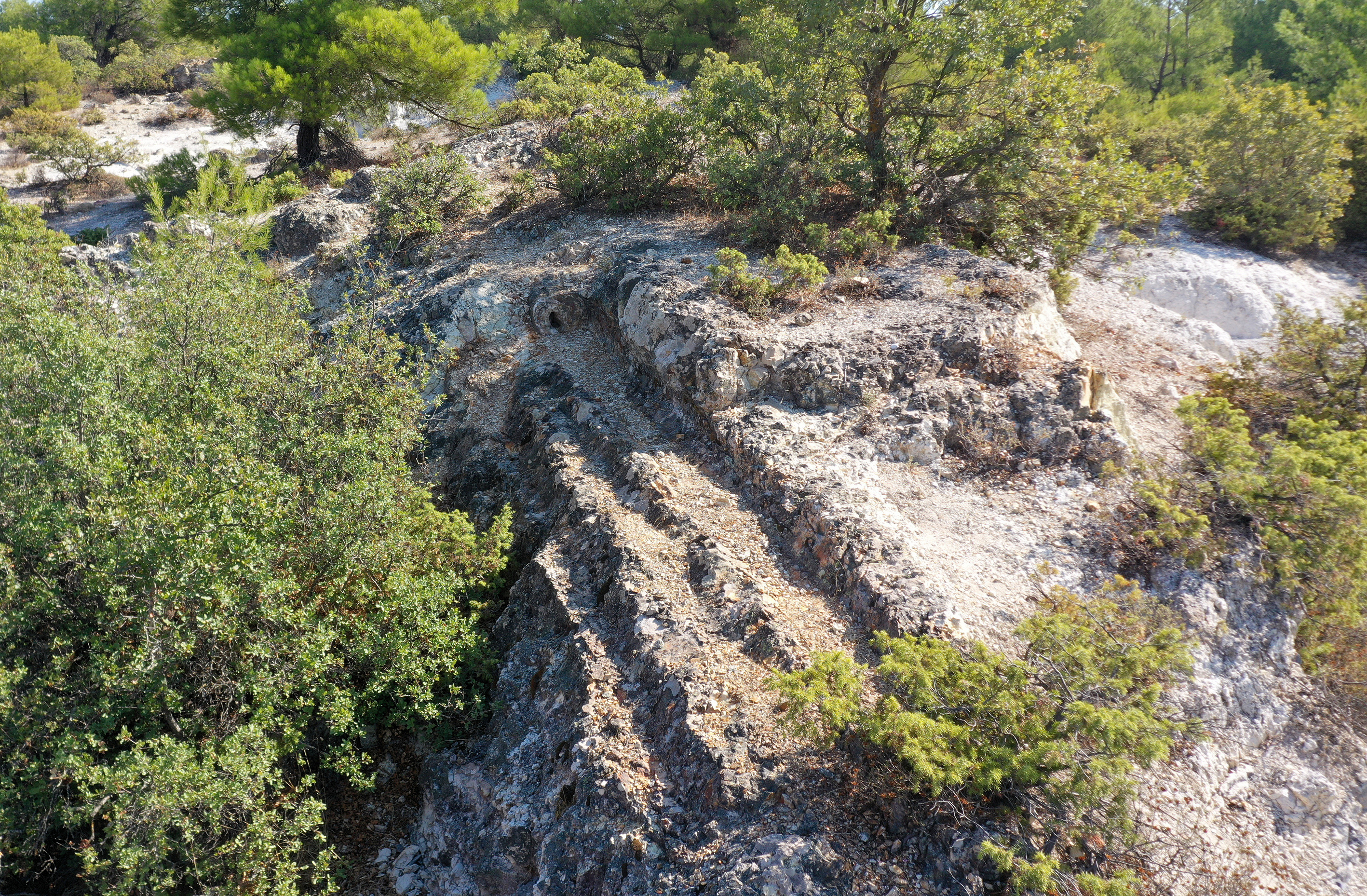 Manisa'daki 21 Milyon Yıllık Ağaç Fosilleri, Kazı Çalışması Sonrası Ziyarete Açılacak (3)