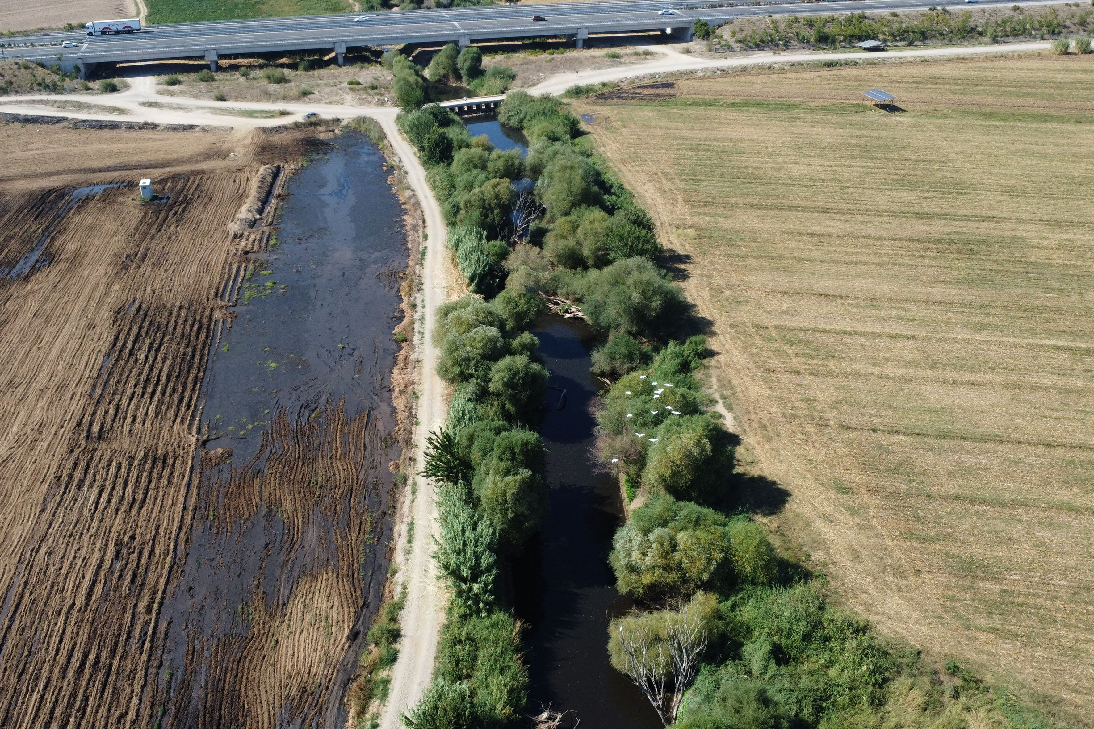 Manisa'da Gediz Nehri'nde Inceleme Başlatıldı (8)