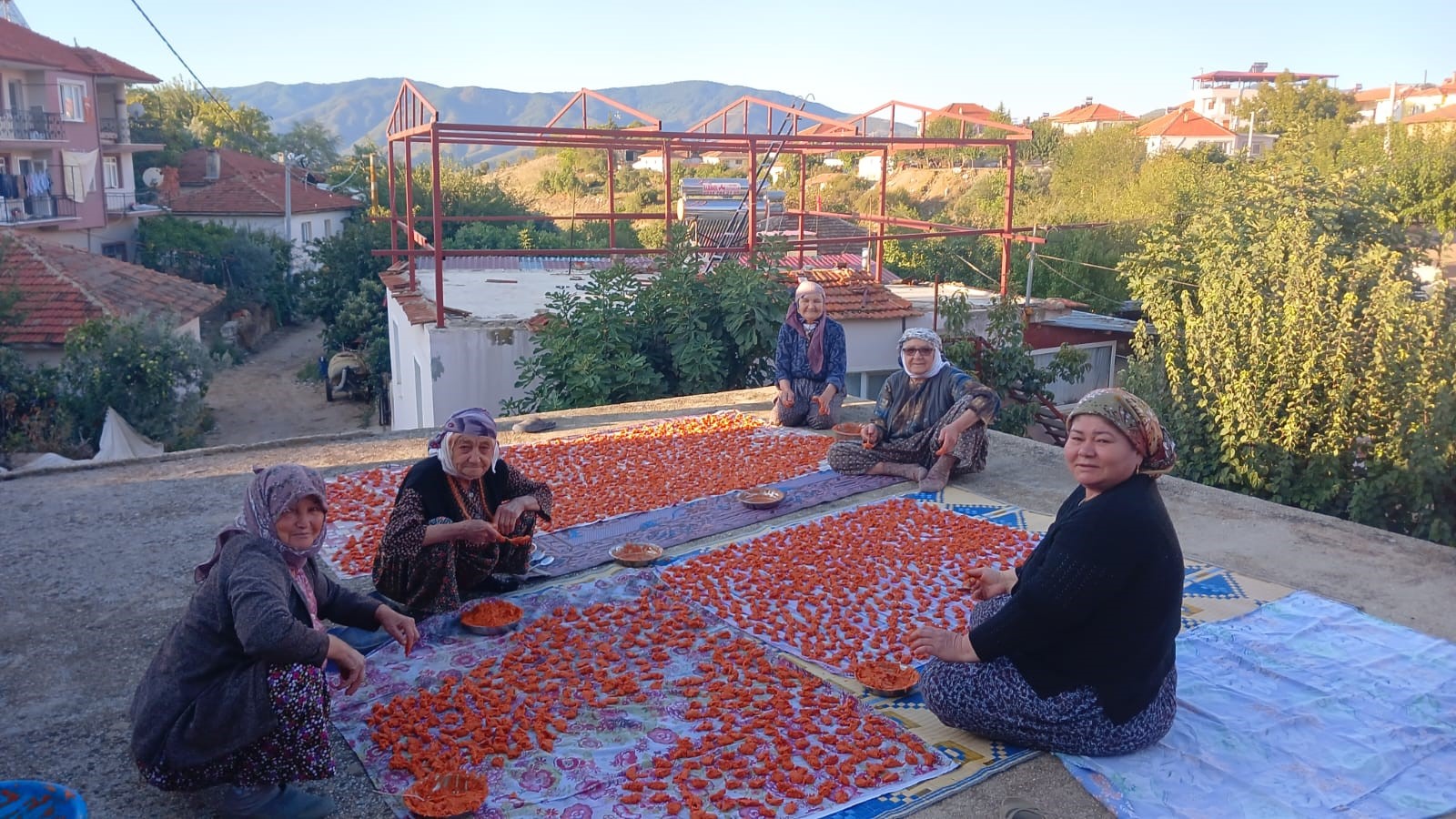 Uzun Ömrün Sırrı Tarhana Çorbasında (3)