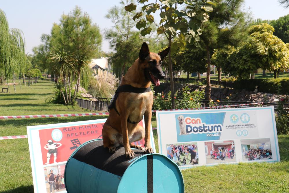 Manisa'da Öğrenciler Köpeklerin Gösterisine Hayran Kaldı (4)