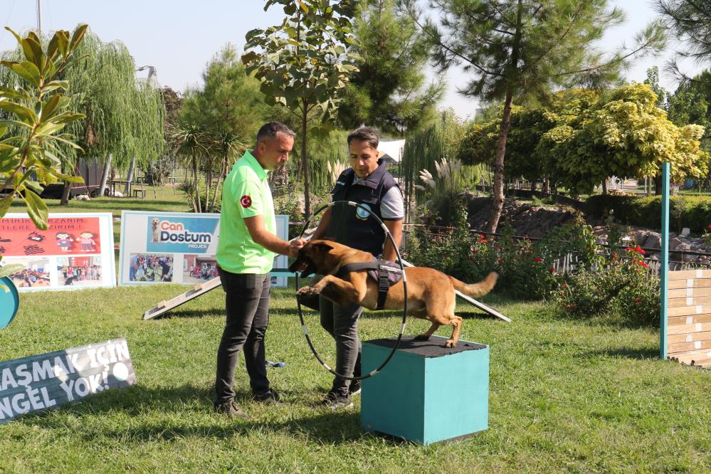 Manisa'da Öğrenciler Köpeklerin Gösterisine Hayran Kaldı (5)