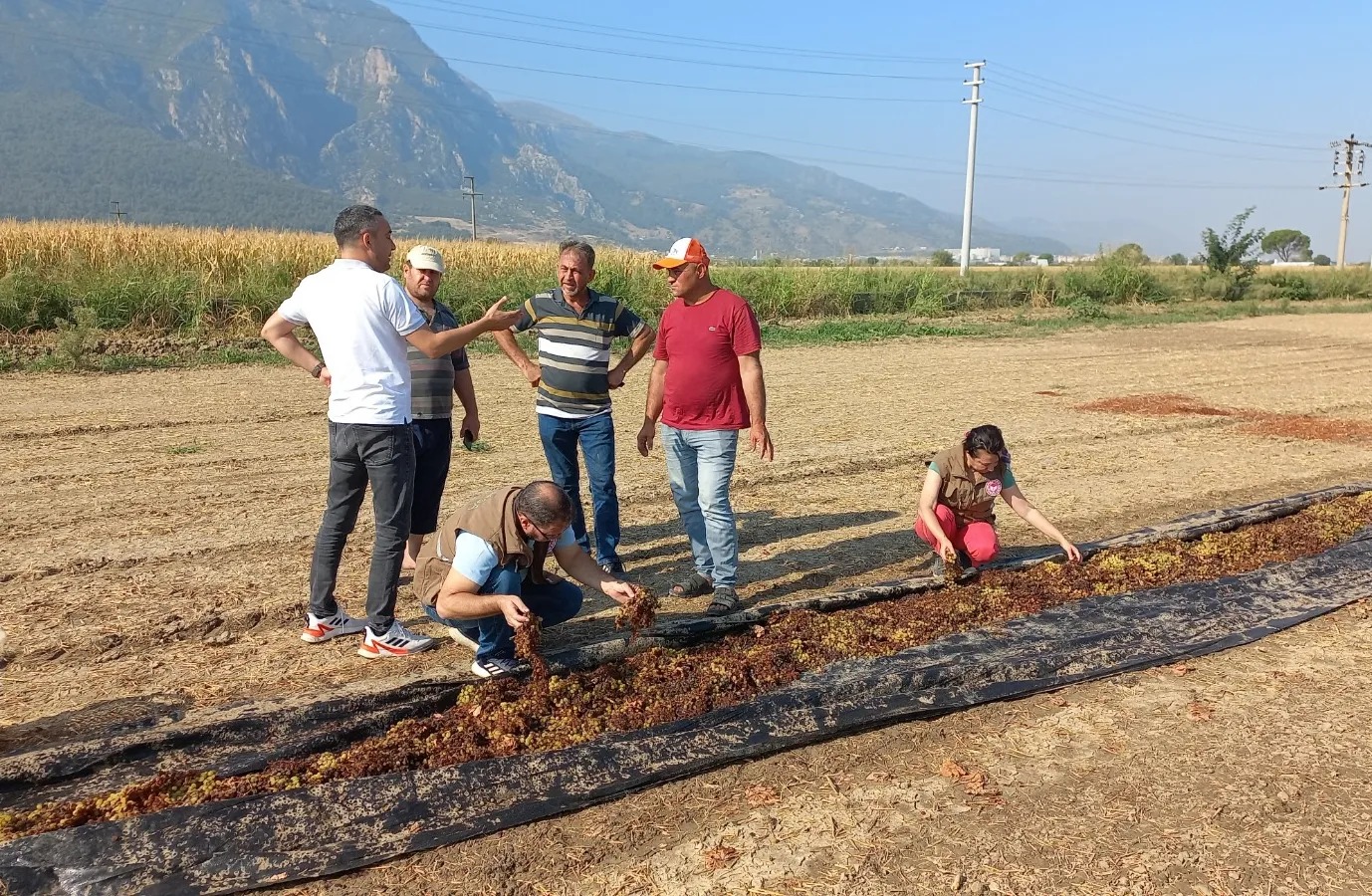 Tarım Ve Orman Bakanlıgı-1